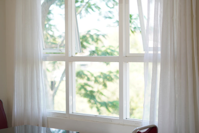 Single Hung Windows